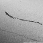 ステンレスジョイント株式会社